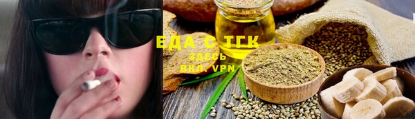 индика Магас