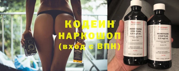 индика Магас
