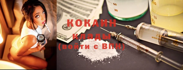 индика Магас