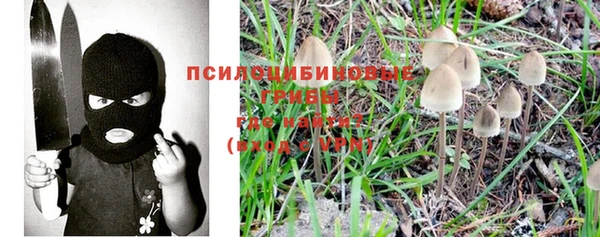 индика Магас