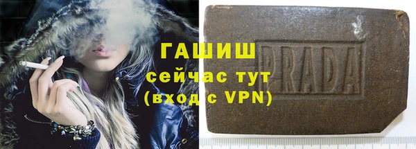 индика Магас