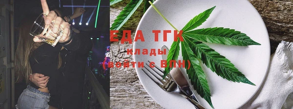индика Магас