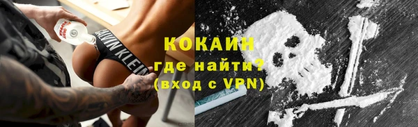 индика Магас