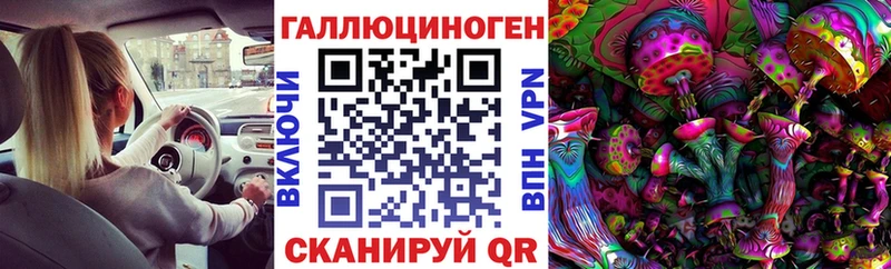 Псилоцибиновые грибы прущие грибы  Спас-Клепики 